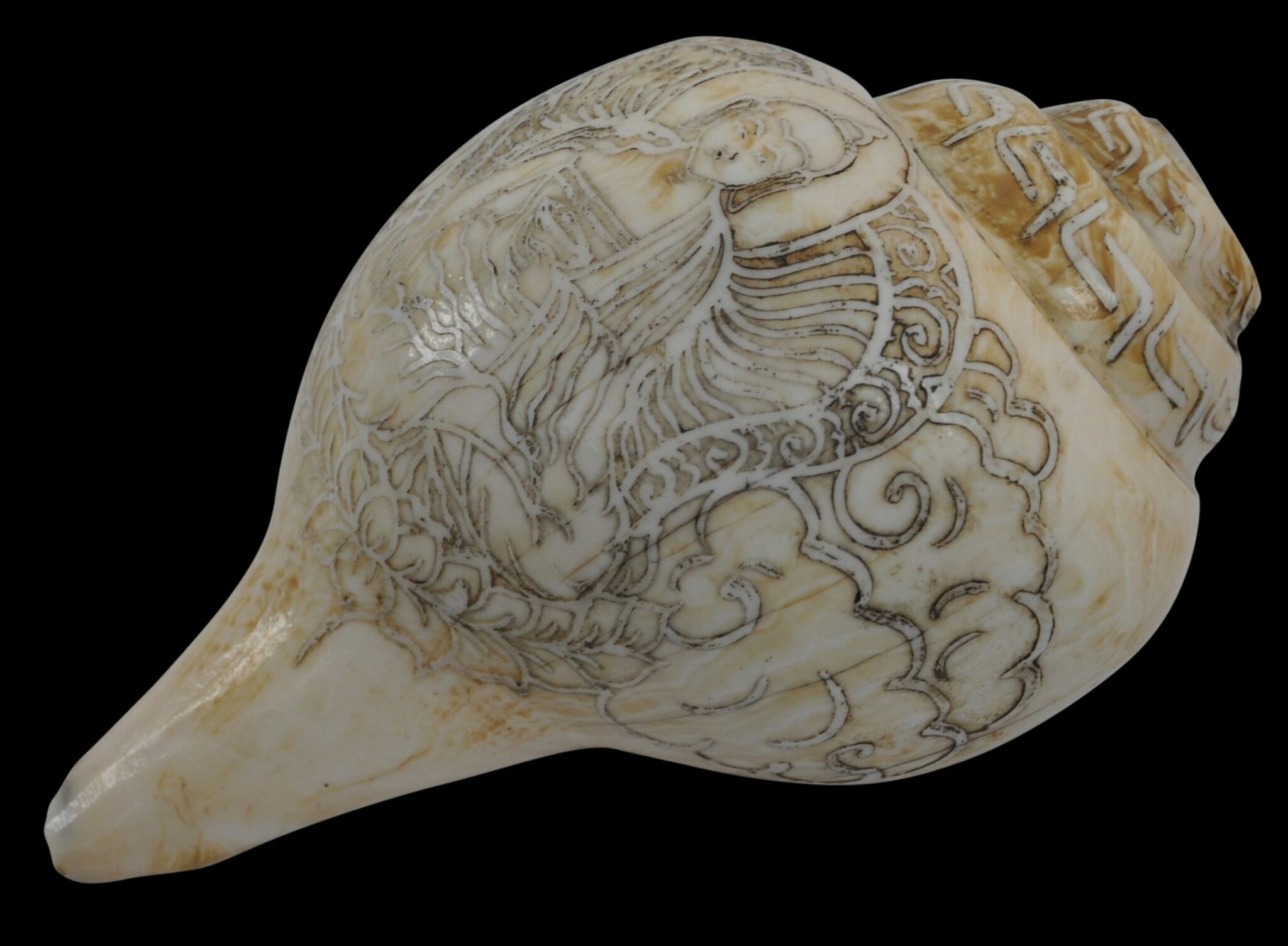 Carved Ritual Buddhist Tibetan Conch Shell - Michael Backman Ltd