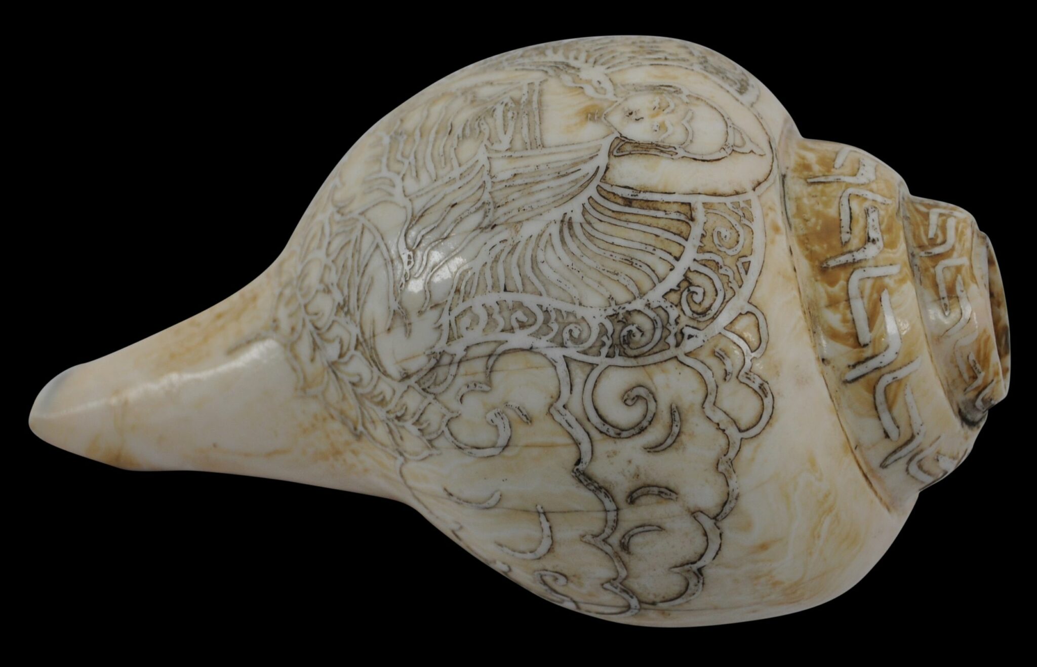 Carved Ritual Buddhist Tibetan Conch Shell - Michael Backman Ltd